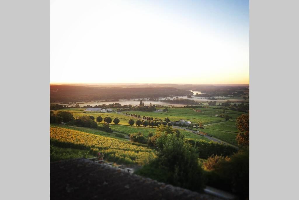 Apartamento Vue Panoramique Sur Le Vignoble Sancerre Exterior foto